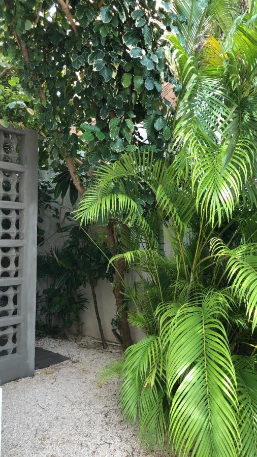 Cielo Neuf Acomodação com café da manhã Cancún Exterior foto